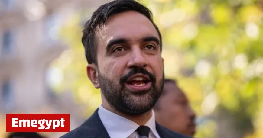 Understanding the Democratic Socialists of America: Key Insights