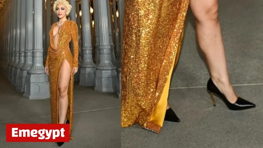 Top Celebrity Shoe Styles at 2025 LACMA Art + Film Gala (PHOTOS)