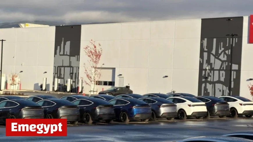 Tesla Rolls Out 2026 Model Y from Giga Berlin to Canada