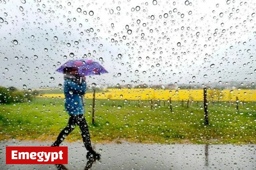 Met Éireann Issues Status Yellow Rain Warning Sparking Flood Concerns in Four Irish Counties