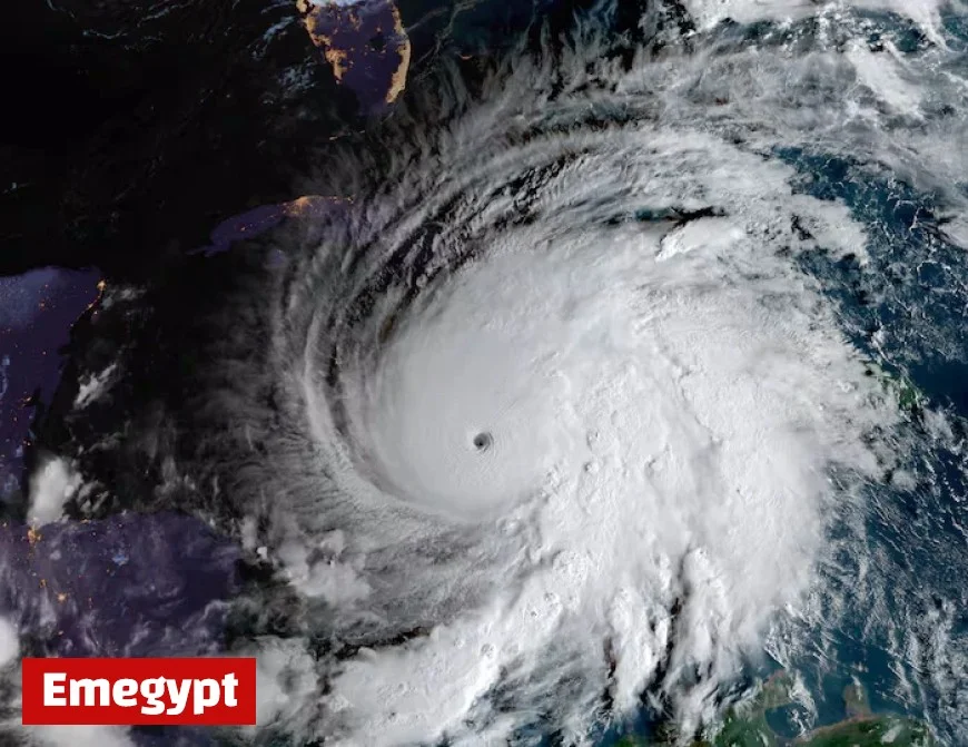 Two Forecast Models Dominate This Hurricane Season for Distinct Reasons