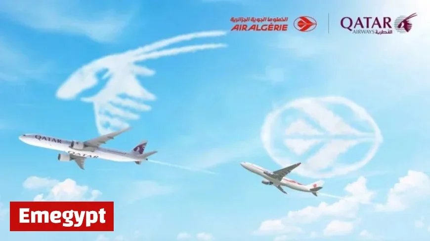 Qatar Airways, Air Algérie Launch Codeshare Deal on November 15