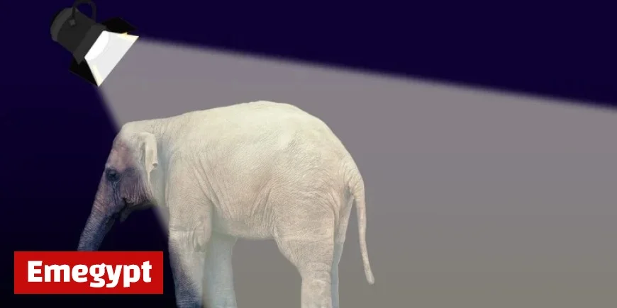 Unveiling the Arctic Frost Scandal