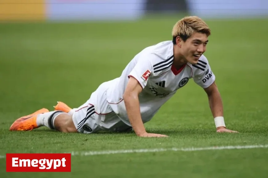 Napoli vs Eintracht Frankfurt Champions League Preview Team Updates and Predicted Lineups