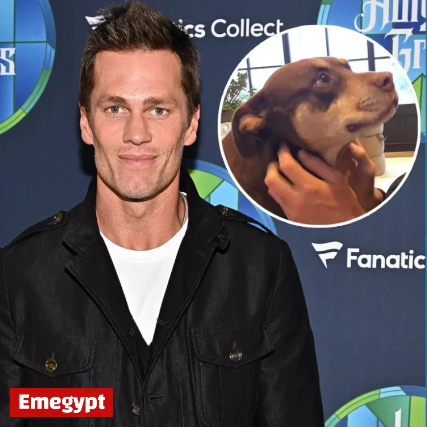 Tom Brady Clones Late Dog Lua, Welcomes Junie