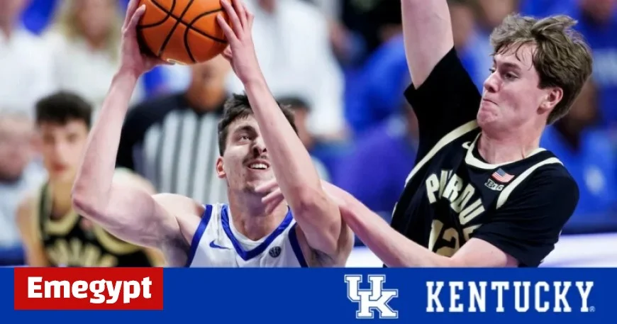 Kentucky vs Nicholls: UK Sports Network Coverage Highlights