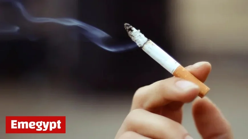 Nationwide Law Enacts Smoking Ban for Future Generations