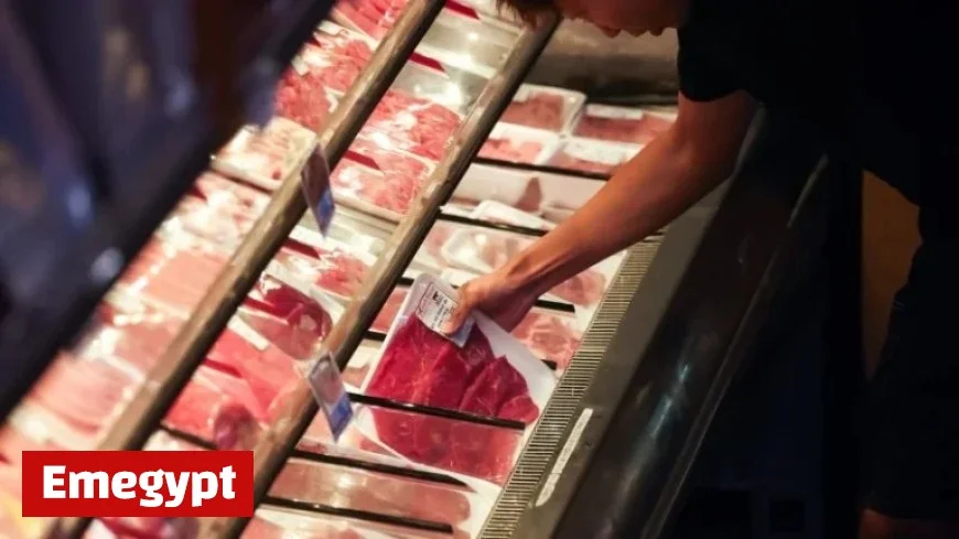 Election Day Highlights Inflation Denial and Free Travel Opportunities Catch Up on Today’s Top Stories