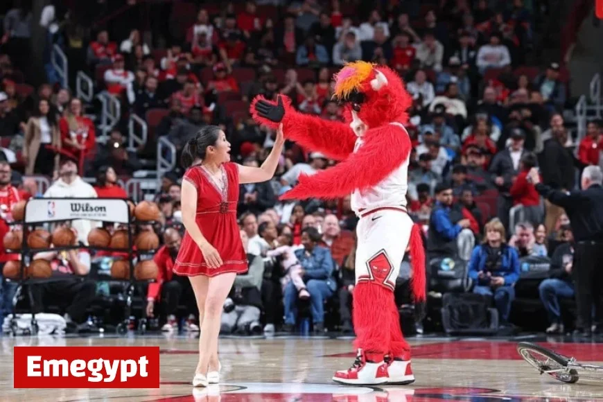 Halftime Star Red Panda Makes Triumphant Return to Basketball Court