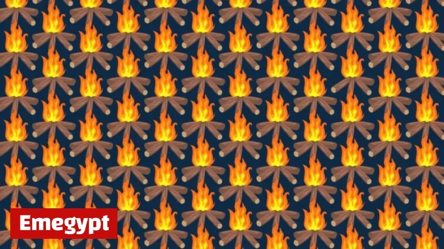 Test Your Vision Spot the Odd Bonfire in Just 20 Seconds If You Have Hawk Eyes
