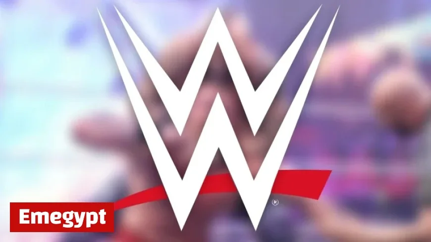 Former WWE Star Criticizes Company for Lack of Support