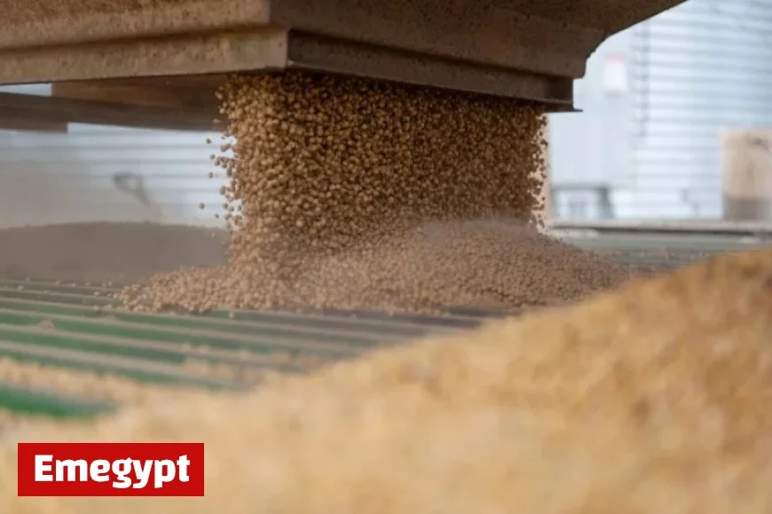 China Lifts US Farm Goods Levies Following Fentanyl Tariff Reduction