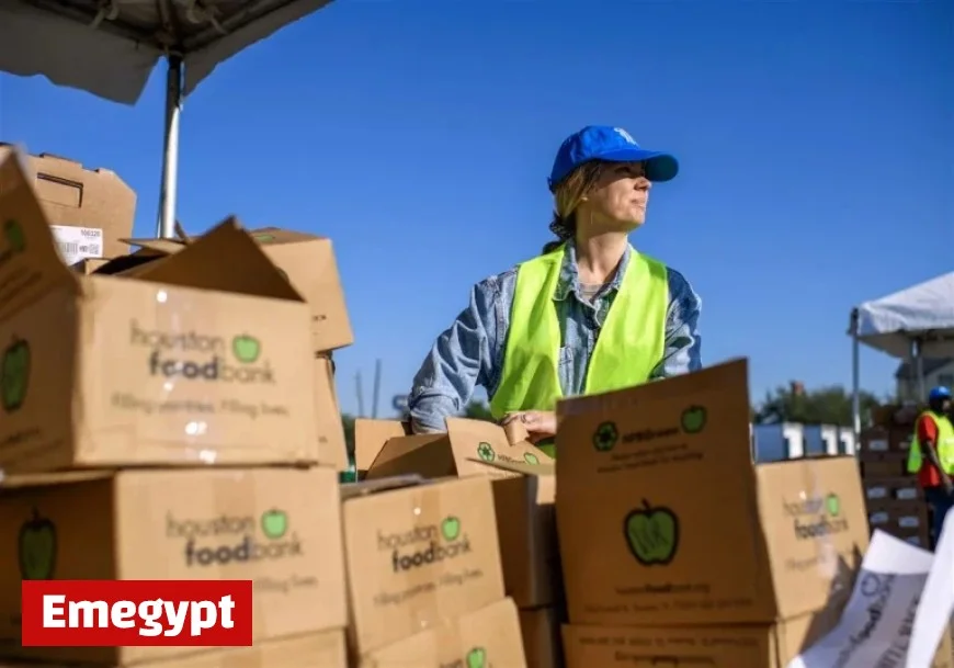 Gene Collier’s Take on Being Unqualified for Quick SNAP Judgments