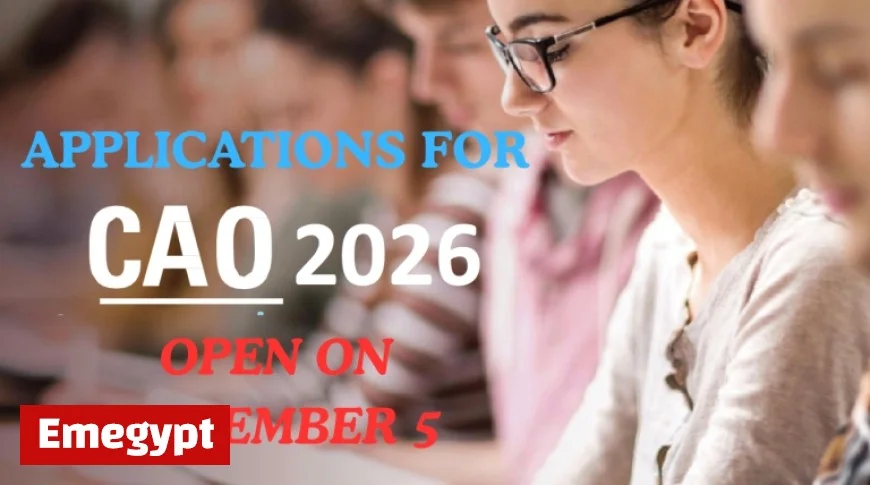 Everything You Need to Know as CAO Opens This Week with Insights from Martina Mulhall