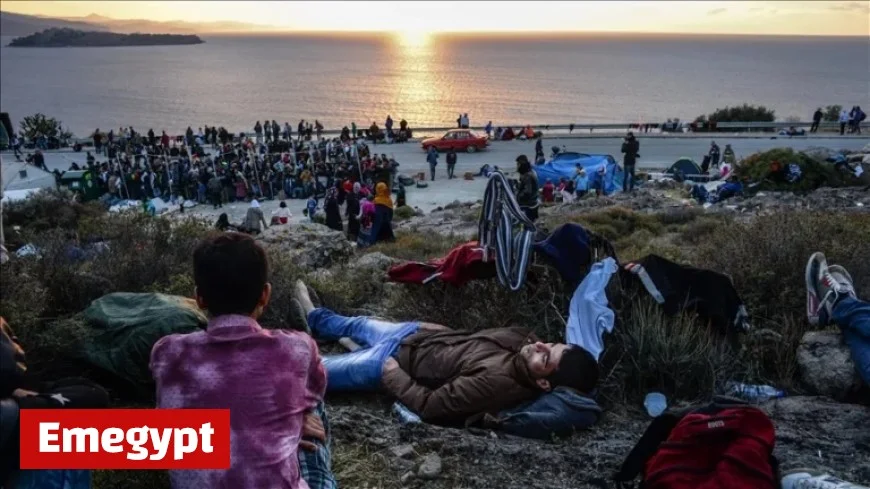 OECD Migration Decline Noted, Especially in Europe: Report