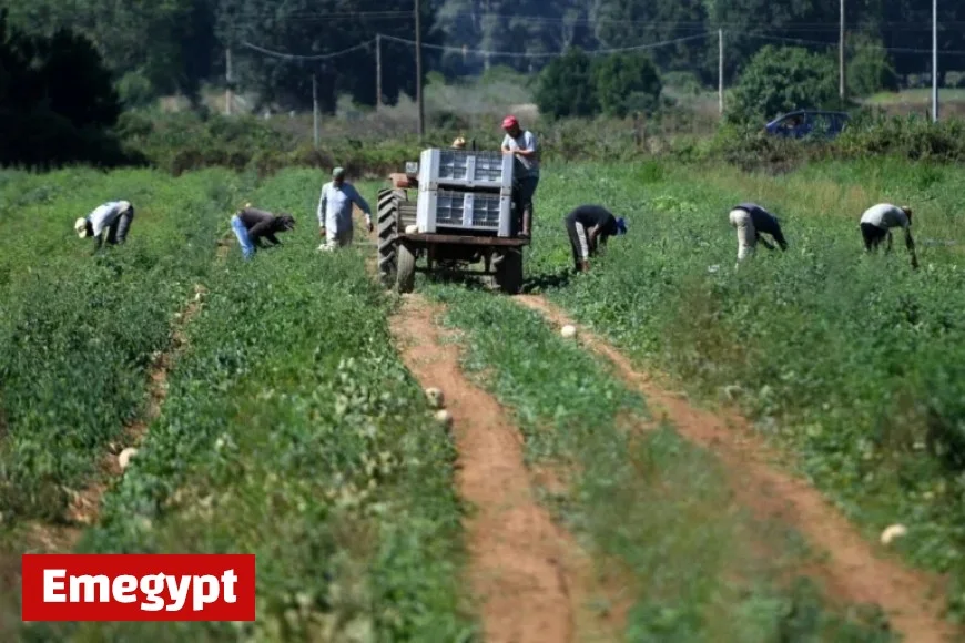 OECD Reports: Immigrant Unemployment Drops Below 10%