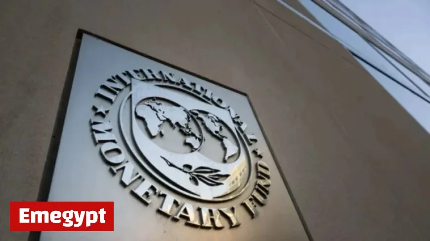 IMF Urges Europe to Revise Social Contracts as Public Debt Rises