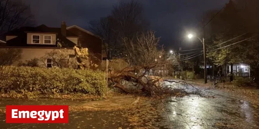 Intense Fall Storm Brings Hurricane-Force Winds to Island’s Many Areas