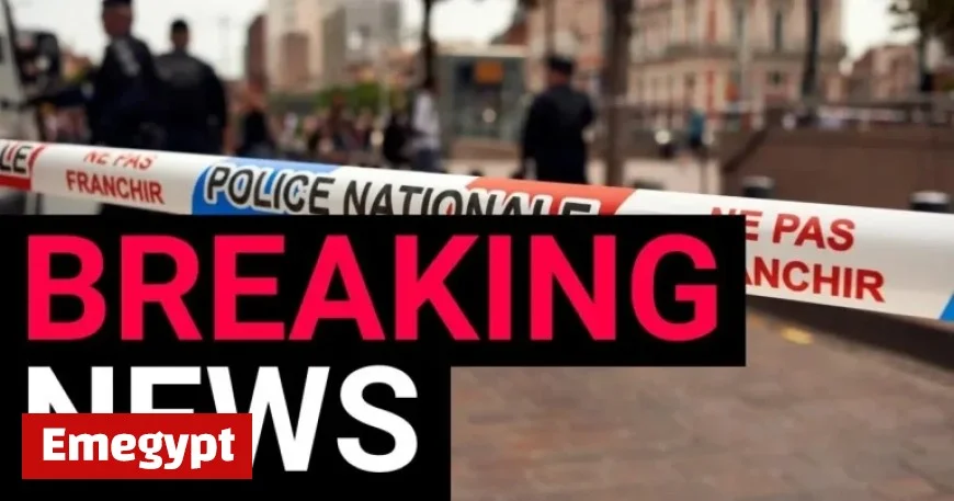 Driver Mounts Curb Injuring 10 Pedestrians with Several in Critical Condition