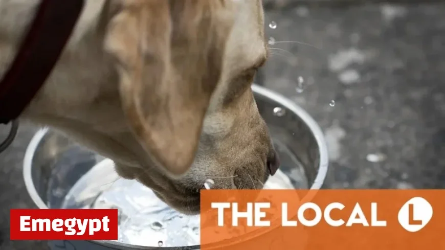 Wednesday’s Top News Highlights from Denmark