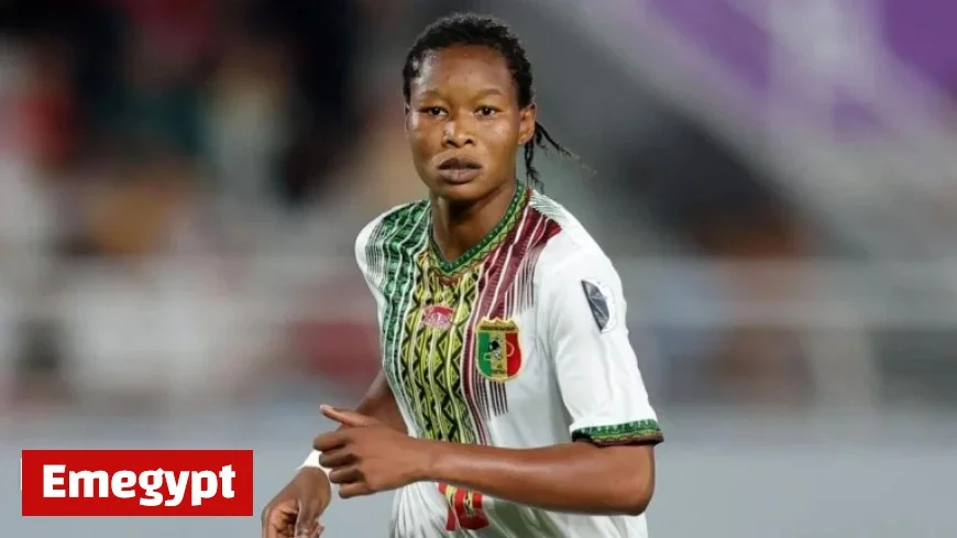 Wafcon 2026: Cameroon Egypt Ivory Coast and Mali Secure Final Spots Through World Rankings