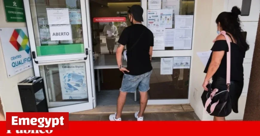 Summer Service Sector Boosts Employment to Record Highs