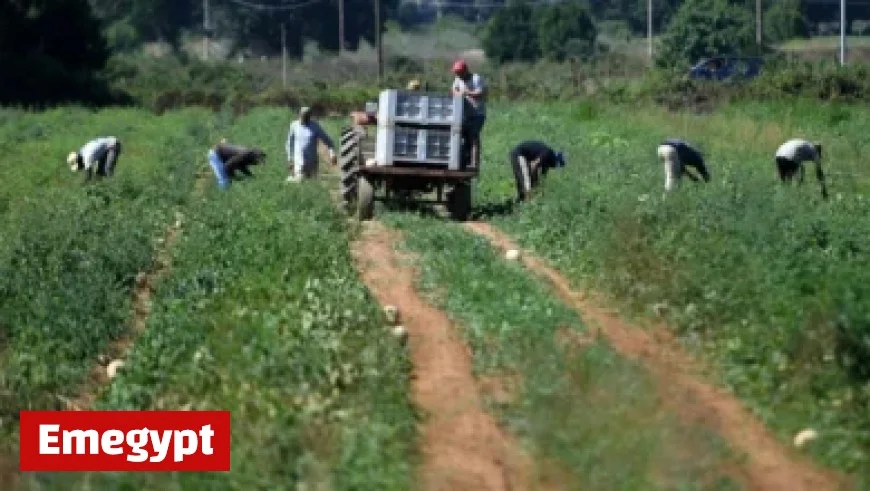 Historic Election Firsts: Muslim Mayor and Female Governor Lead the Change