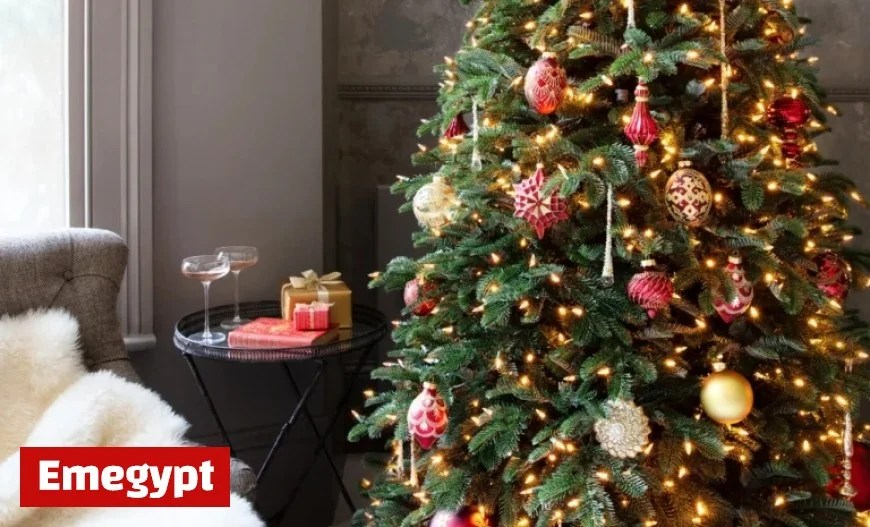 Discover Balsam Hill’s Luxurious Artificial Trees for a Magical Christmas