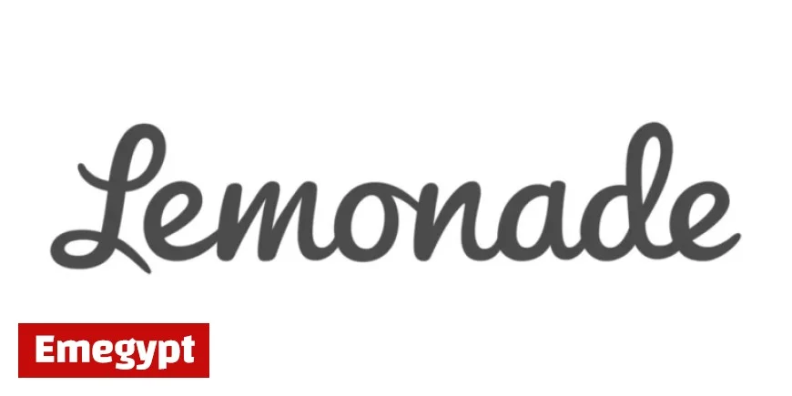 Lemonade Releases Q3 2025 Financial Results