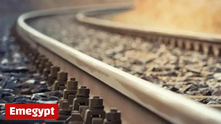 Gemma Collins Scores Massive Payday from Fiancé After Leaving Job for Towie