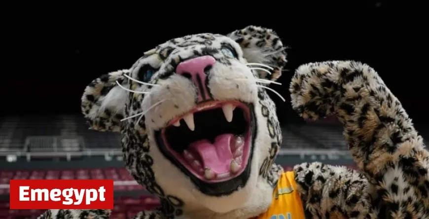 Preview Marquette Men’s Basketball Opponent: Southern Team Analysis