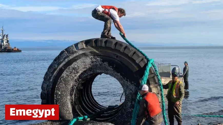 Massive Industrial Tires Cleared from Campbell River Beach, B.C.