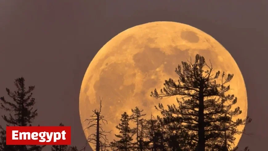 November Supermoon Impact: How It Influences Each Zodiac Sign