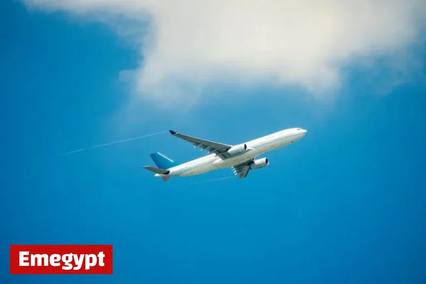 U.S. Airline Halts Operations, Leaving Staff ‘Devastated’