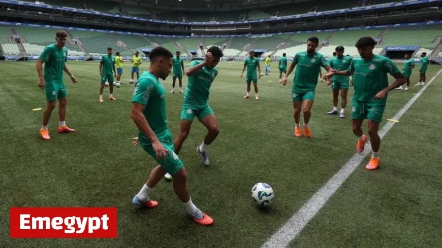 Palmeiras Roster Update: Team Nears Full Strength for Clash Against Santos at Allianz Training Session