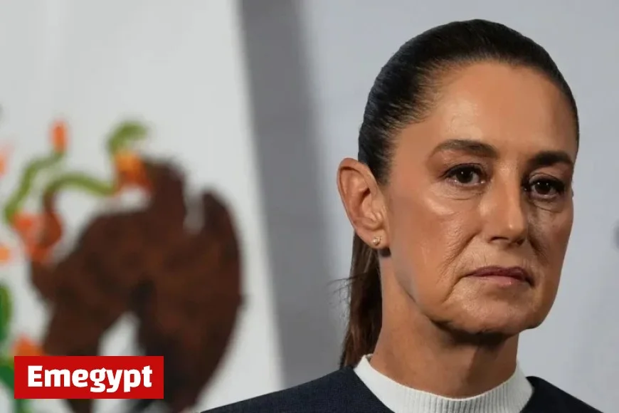 Video Captures Mexican President Sheinbaum Facing Street Harassment