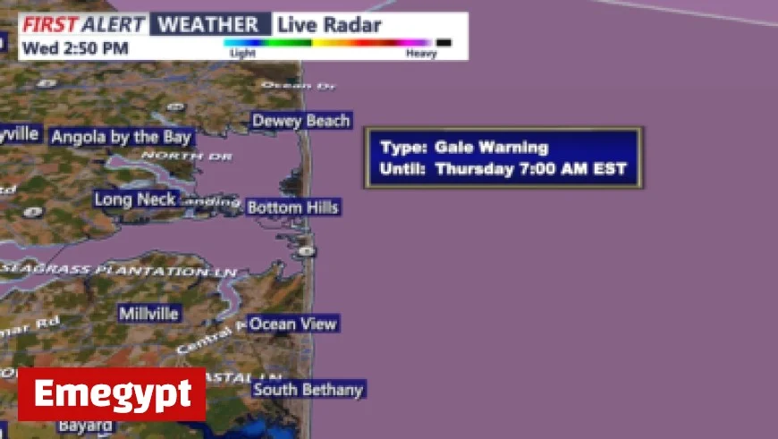 Alex Murdaugh’s Family Murder: Death in the Family Cast Explores Theory