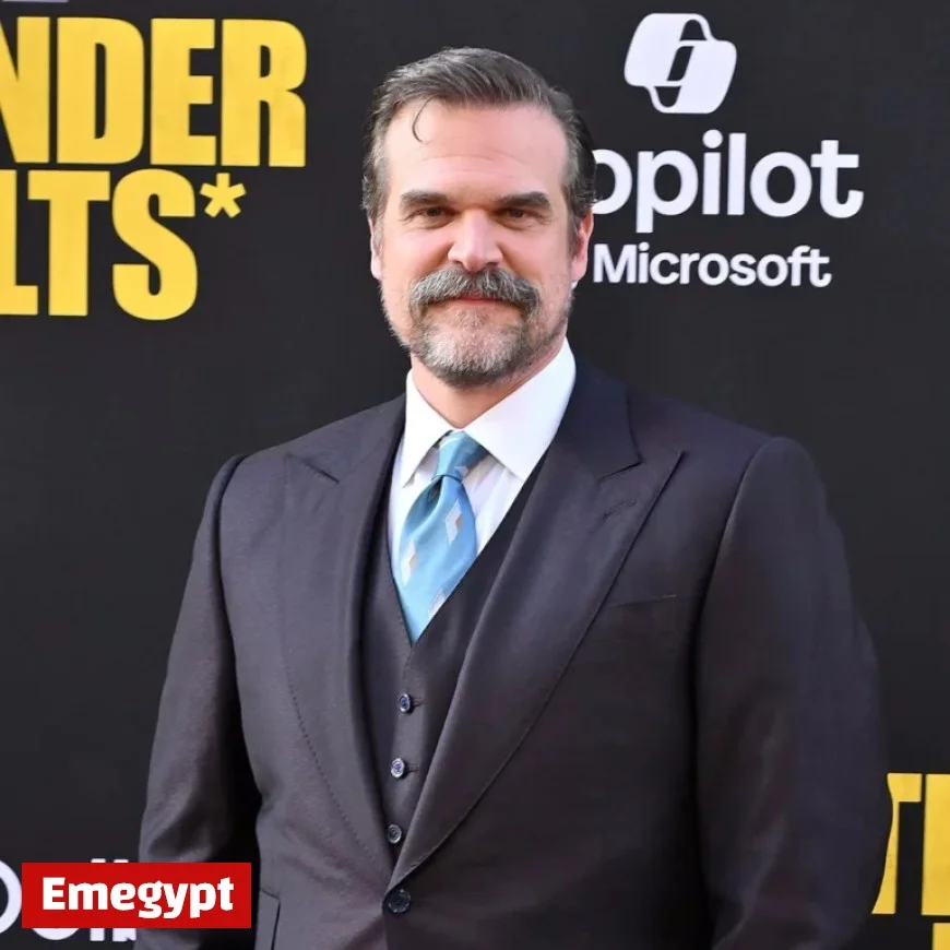 David Harbour Absent from Stranger Things Tour: The Real Story