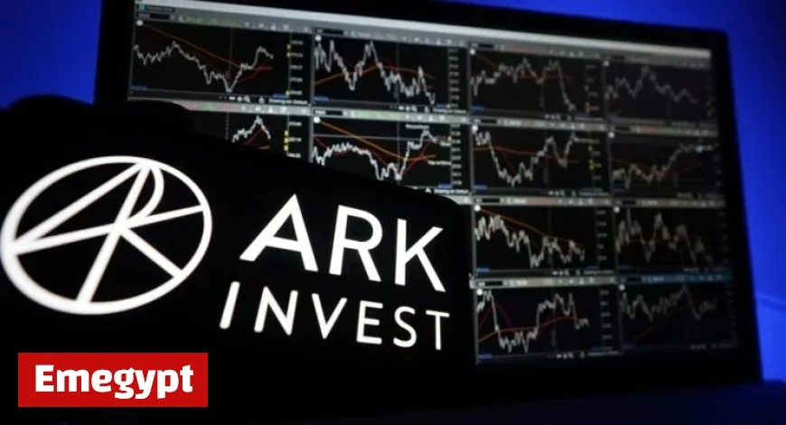 Cathie Wood Invests in Pinterest, Sells Off Roku and Robinhood Shares