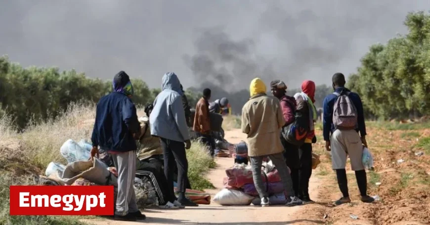 North African Nation Pledges Migration Solution to Europe