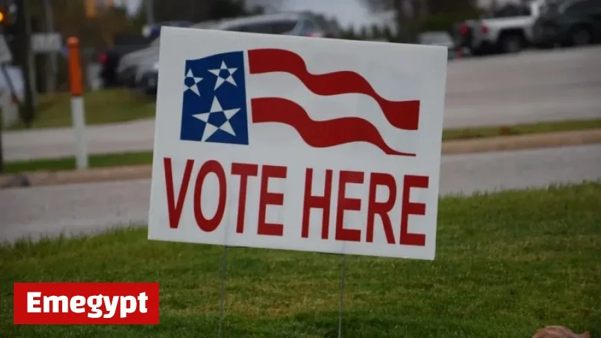 Otsego County November Election: Key Results Unveiled