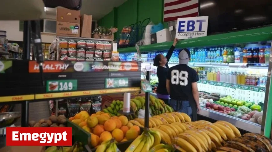 Federal Judge Mandates Full November SNAP Payments from Trump Administration