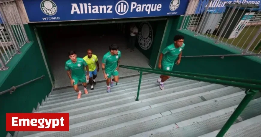 Allianz Parque Nears 17 Million Visitors in 11 Years