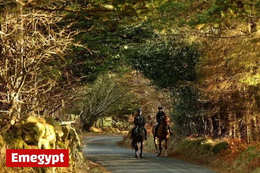 Met Éireann forecasts a weekend of mild yet varied weather conditions