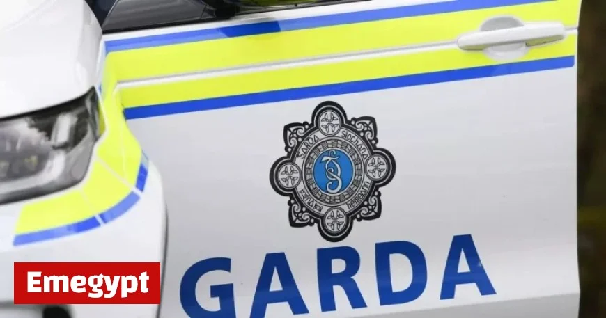 Dublin Police Arrest Criminal Mastermind Mr Big in Major Gangland Crackdown