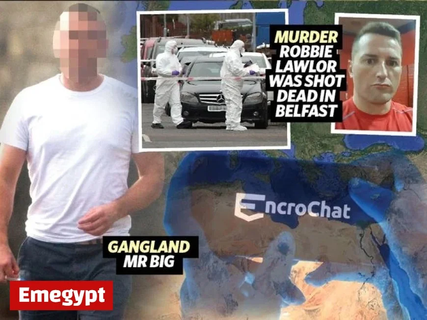 Dublin Crime Boss Mr Big Arrested in Major Garda Crackdown on Organized Crime
