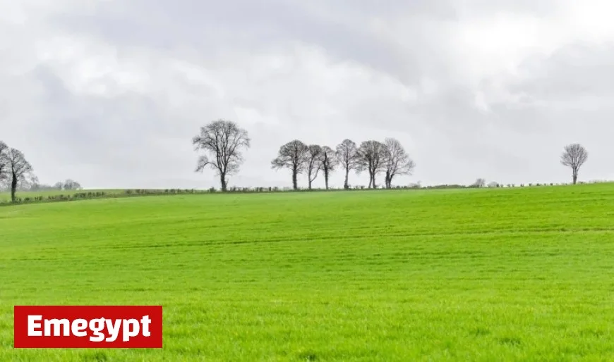 Weekend Weather Forecast: Anticipate Rain with Intermittent Sunshine