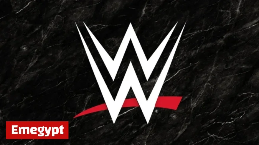 Ex-WWE Wrestler Criticizes Company After Release