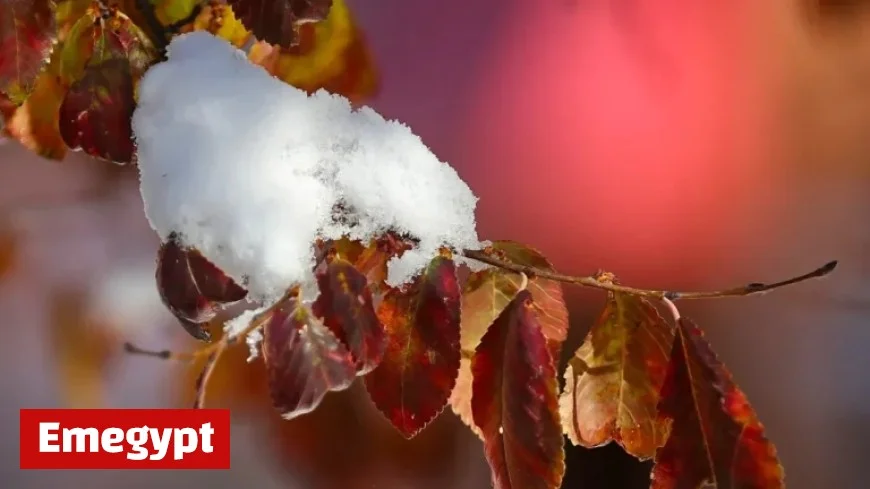 Snow Forecast in Akron-Canton: Find Out When Flakes Will Fly