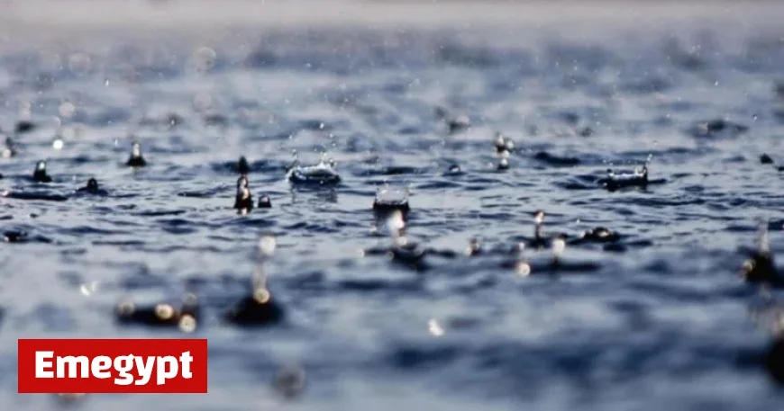 Calm Before the Storm: More Wind and Rain Expected Tomorrow